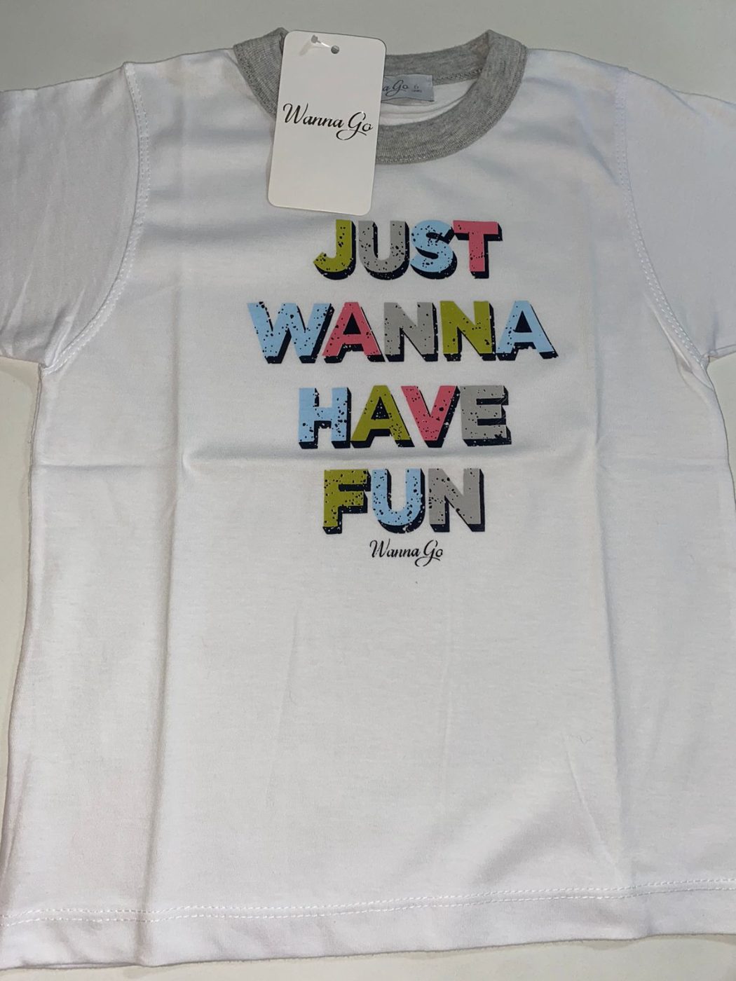 Remera Just wanna Have fun
